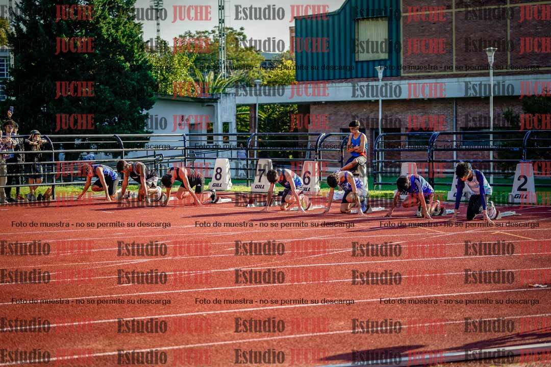 Fotos de los 110 m con vallas de varones