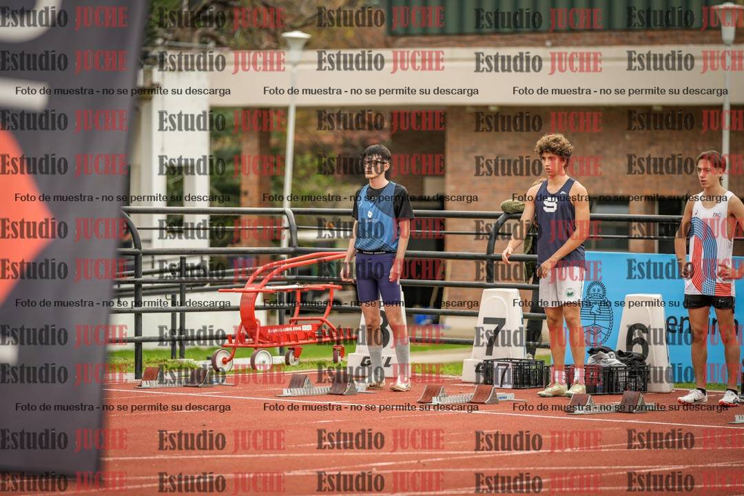 Fotos de los 110 m con vallas de varones