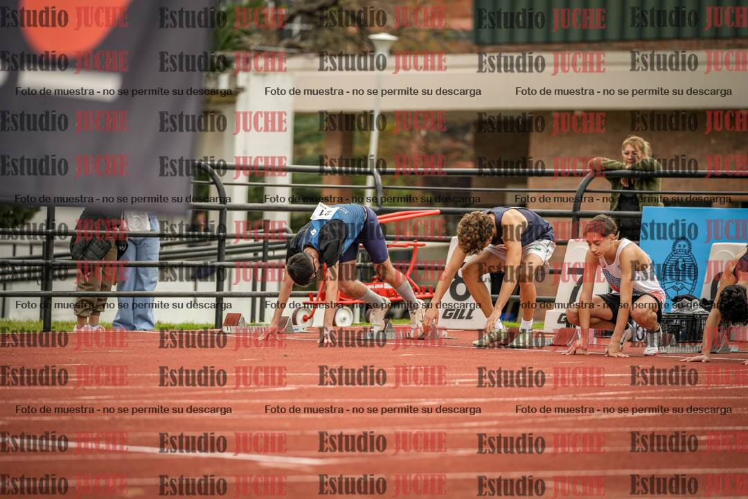 Fotos de los 110 m con vallas de varones