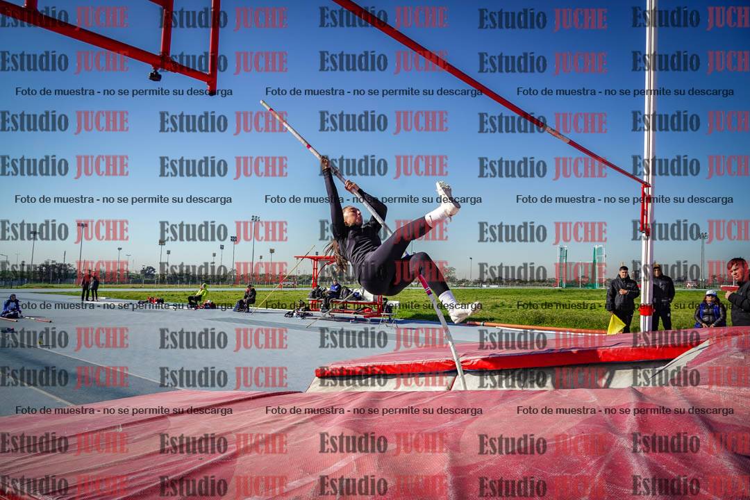 Fotos del salto con garrocha de mujeres y varones