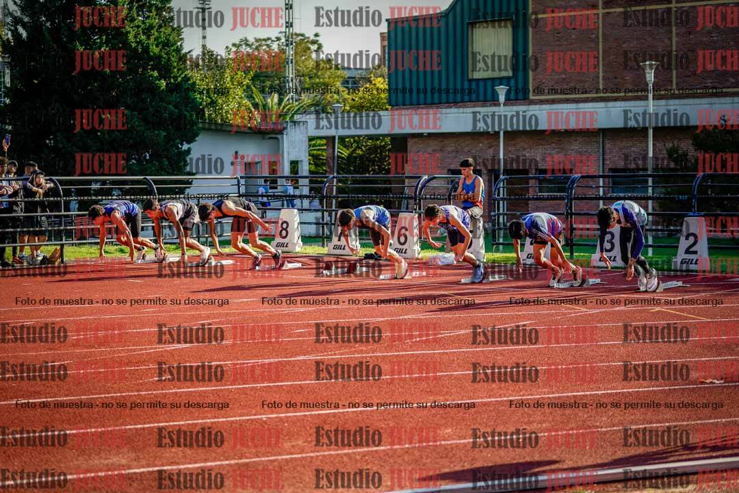 Fotos de los 110 m con vallas de varones