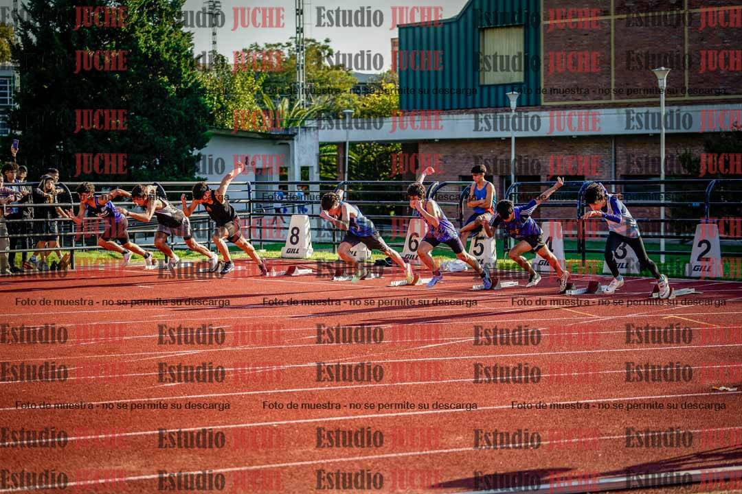 Fotos de los 110 m con vallas de varones