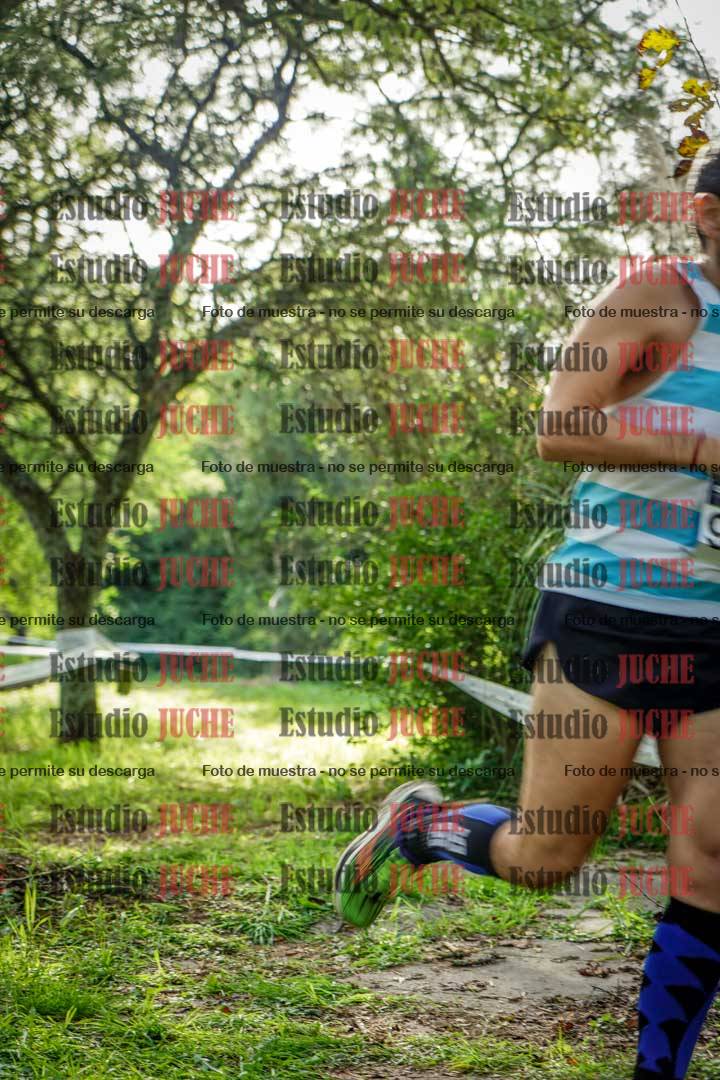 Fotos en el circuito