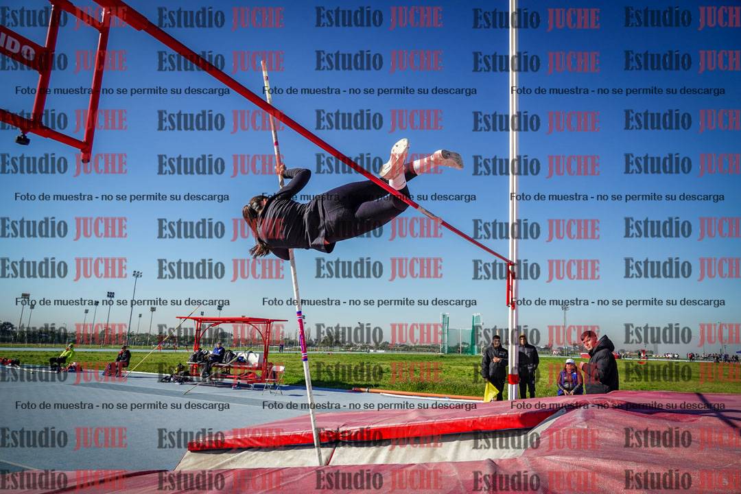 Fotos del salto con garrocha de mujeres y varones
