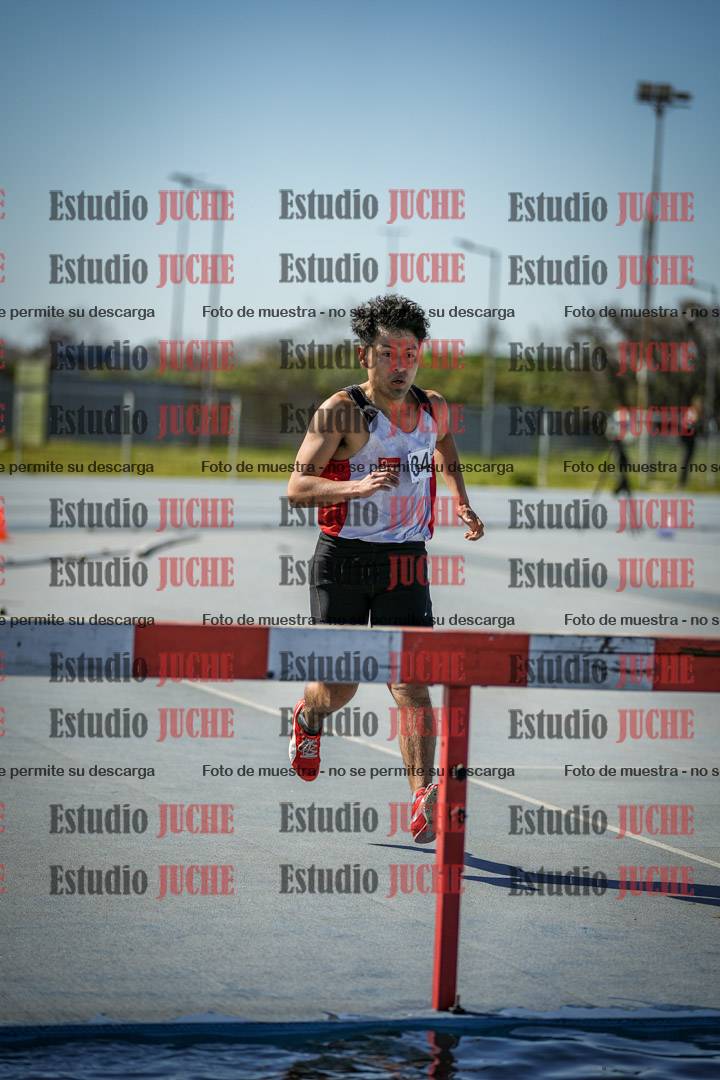 Fotos de los 3000 m con obstáculos de varones