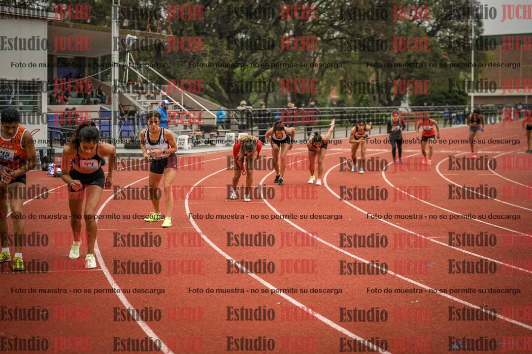 Fotos de los 800 m llanos de mujeres