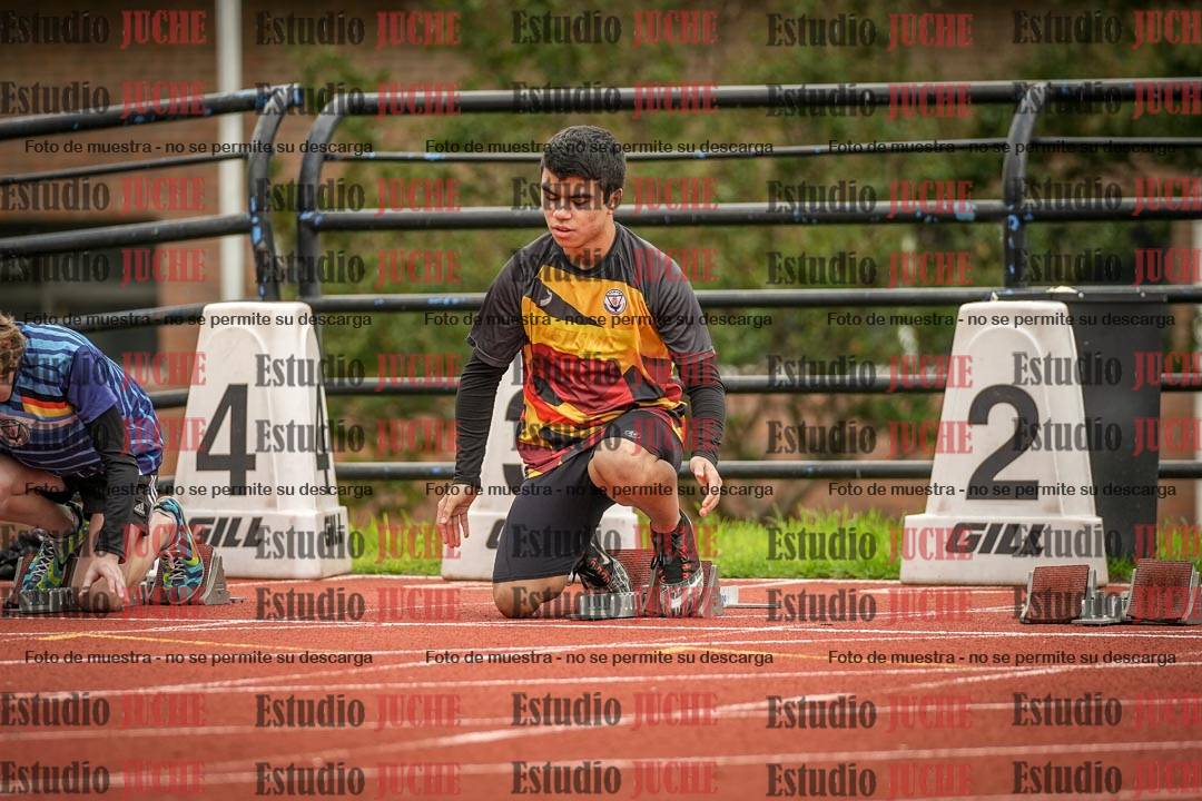 Fotos de los 110 m con vallas de varones