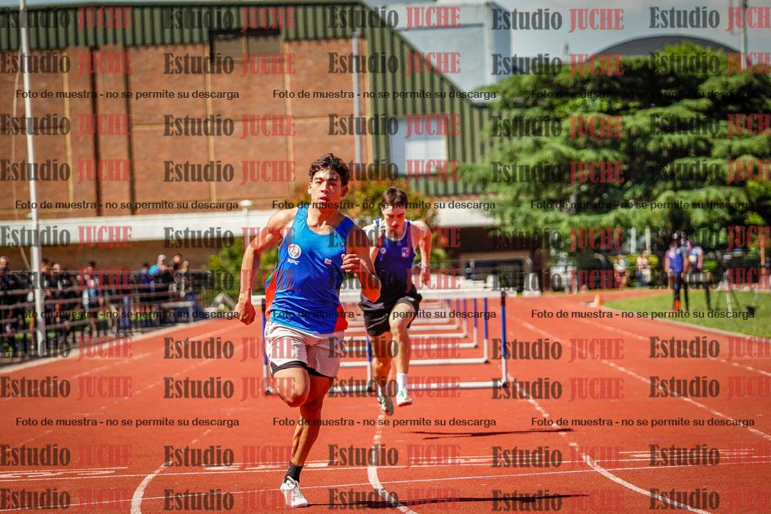 Fotos de los 110 m con vallas de varones