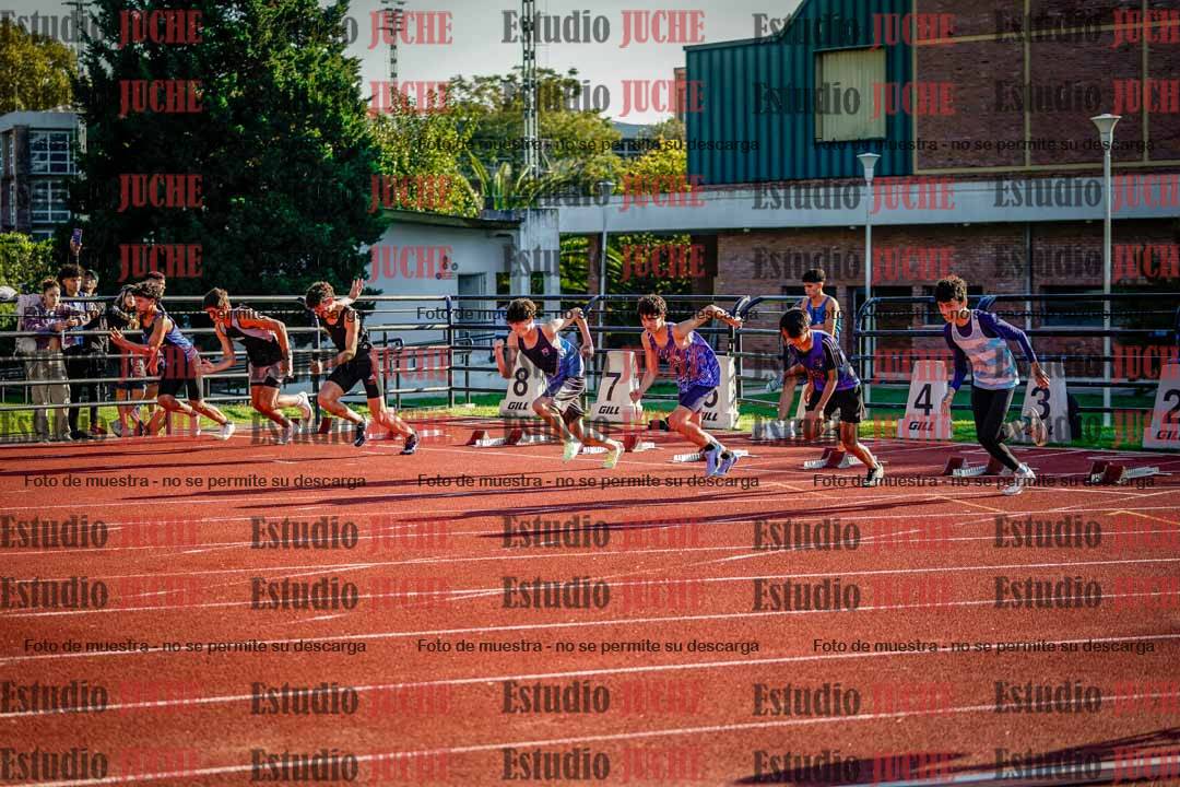 Fotos de los 110 m con vallas de varones