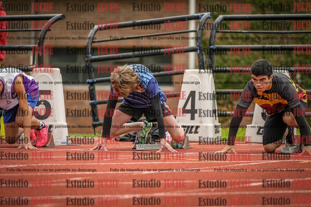 Fotos de los 110 m con vallas de varones