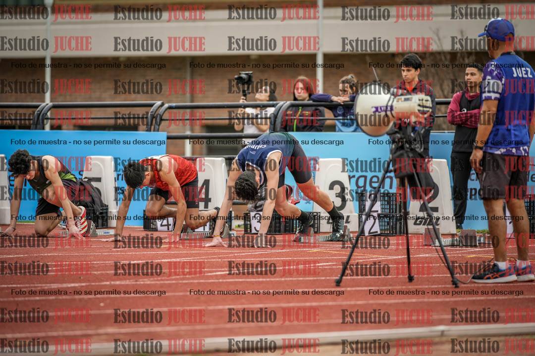 Fotos de los 110 m con vallas de varones