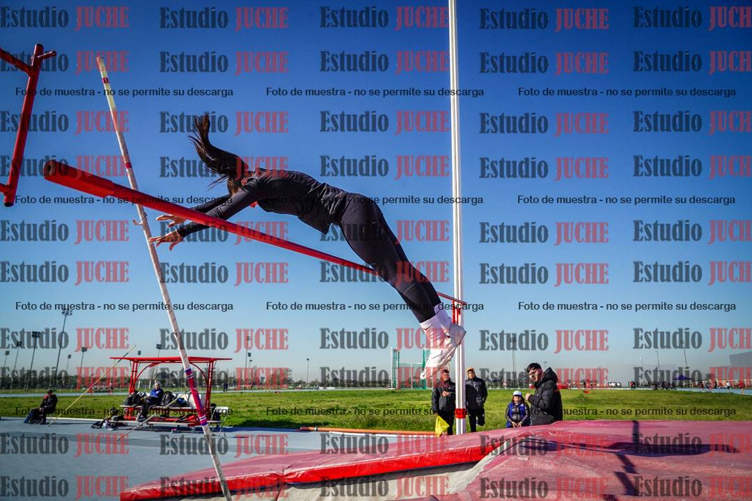 Fotos del salto con garrocha de mujeres y varones
