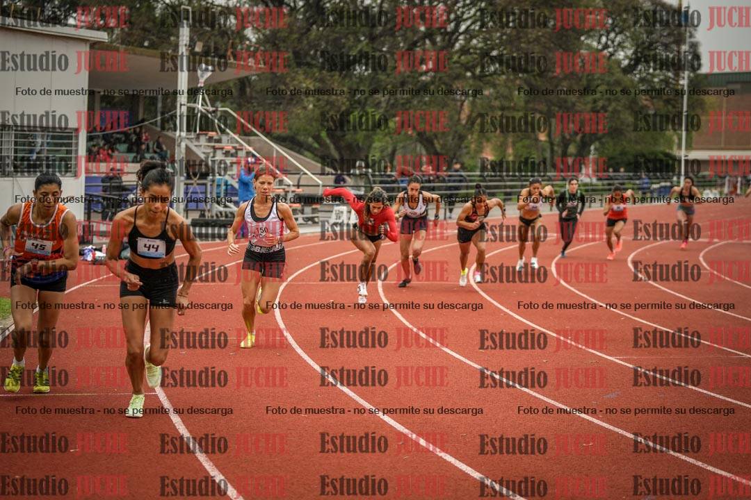 Fotos de los 800 m llanos de mujeres