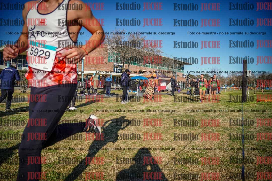 Fotos en el circuito
