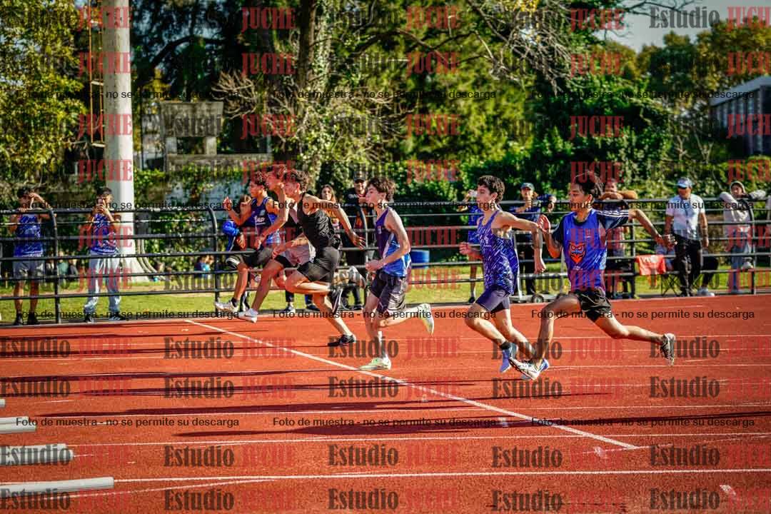 Fotos de los 110 m con vallas de varones