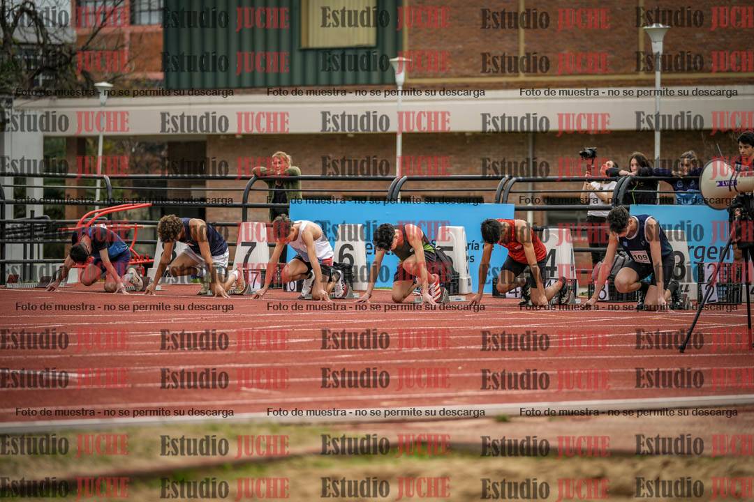 Fotos de los 110 m con vallas de varones