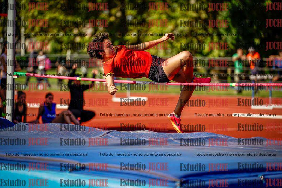 Fotos del salto en alto de mujeres y varones
