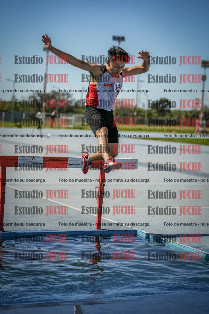 Fotos de los 3000 m con obstáculos de varones