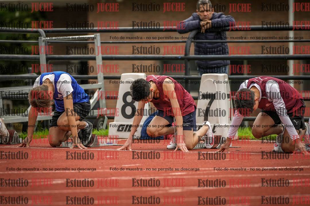 Fotos de los 110 m con vallas de varones