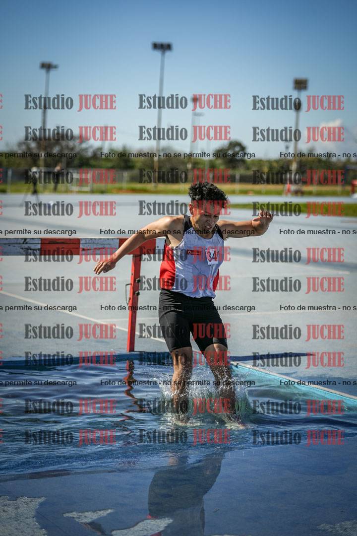 Fotos de los 3000 m con obstáculos de varones