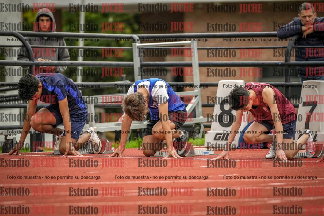 Fotos de los 110 m con vallas de varones