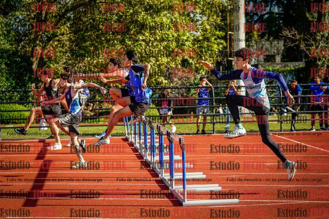 Fotos de los 110 m con vallas de varones