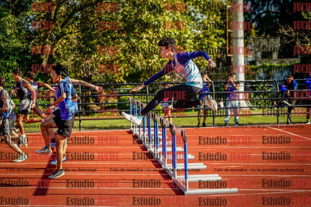 Fotos de los 110 m con vallas de varones