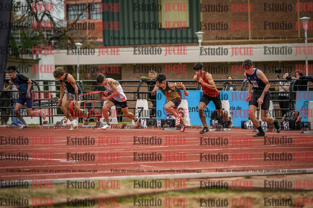 Fotos de los 110 m con vallas de varones