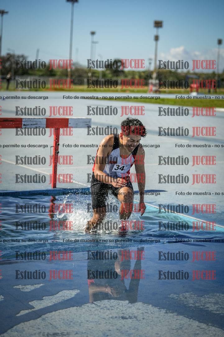 Fotos de los 3000 m con obstáculos de varones
