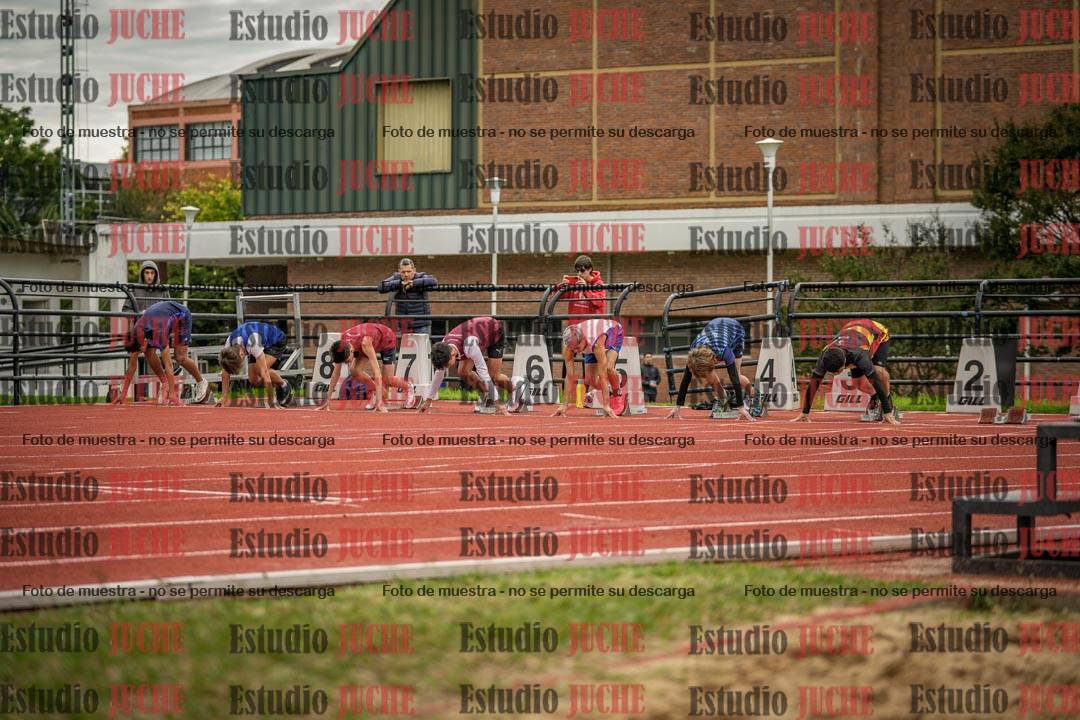 Fotos de los 110 m con vallas de varones