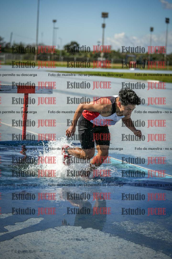 Fotos de los 3000 m con obstáculos de varones