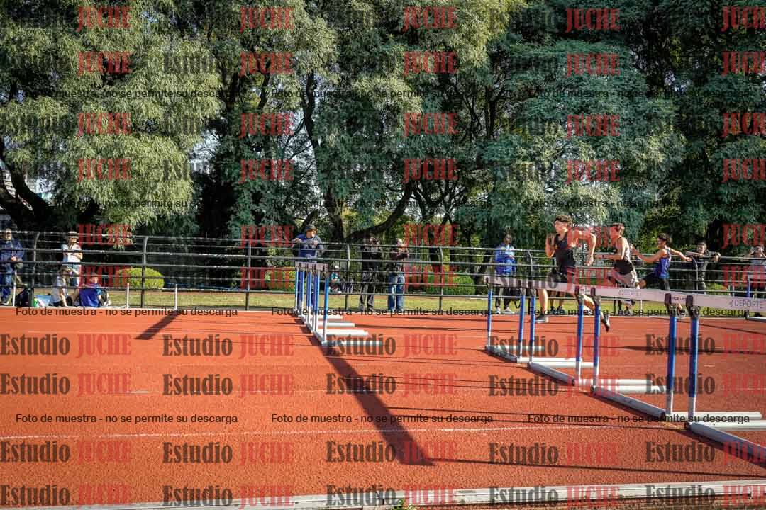 Fotos de los 110 m con vallas de varones
