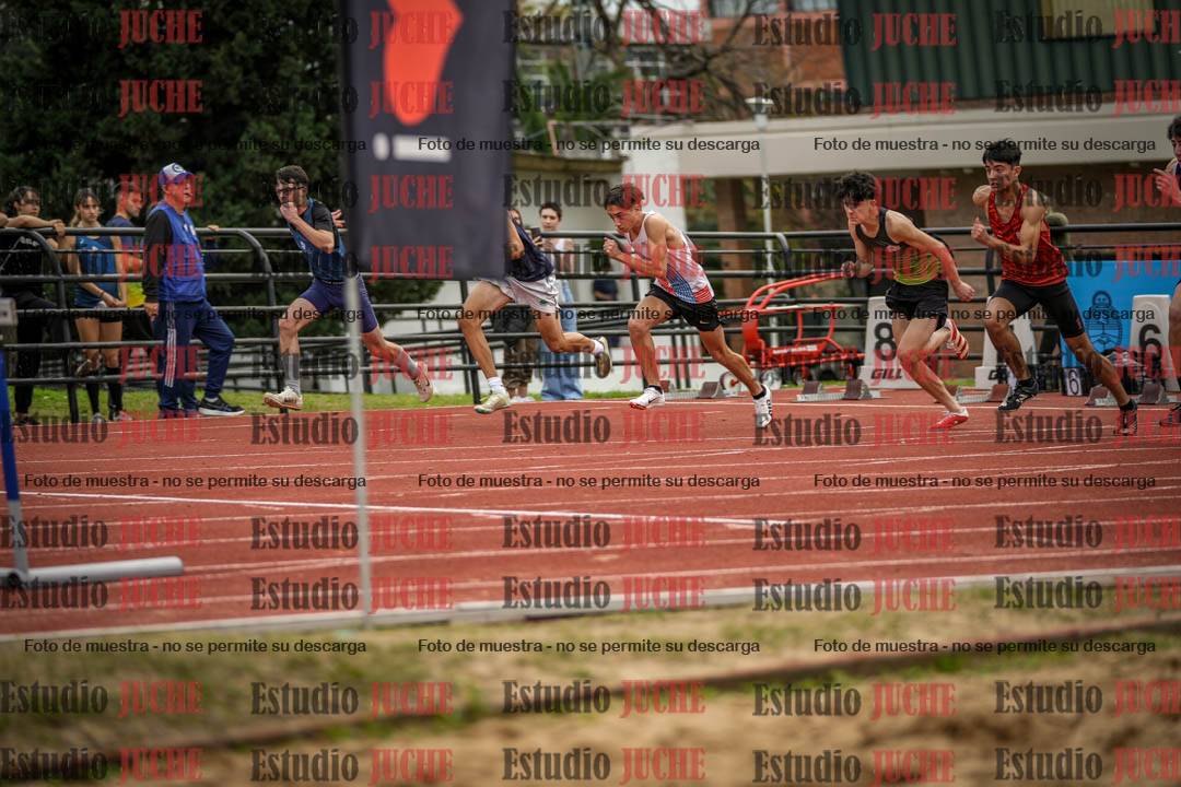 Fotos de los 110 m con vallas de varones