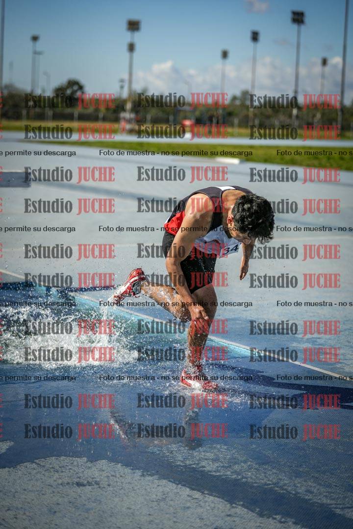 Fotos de los 3000 m con obstáculos de varones