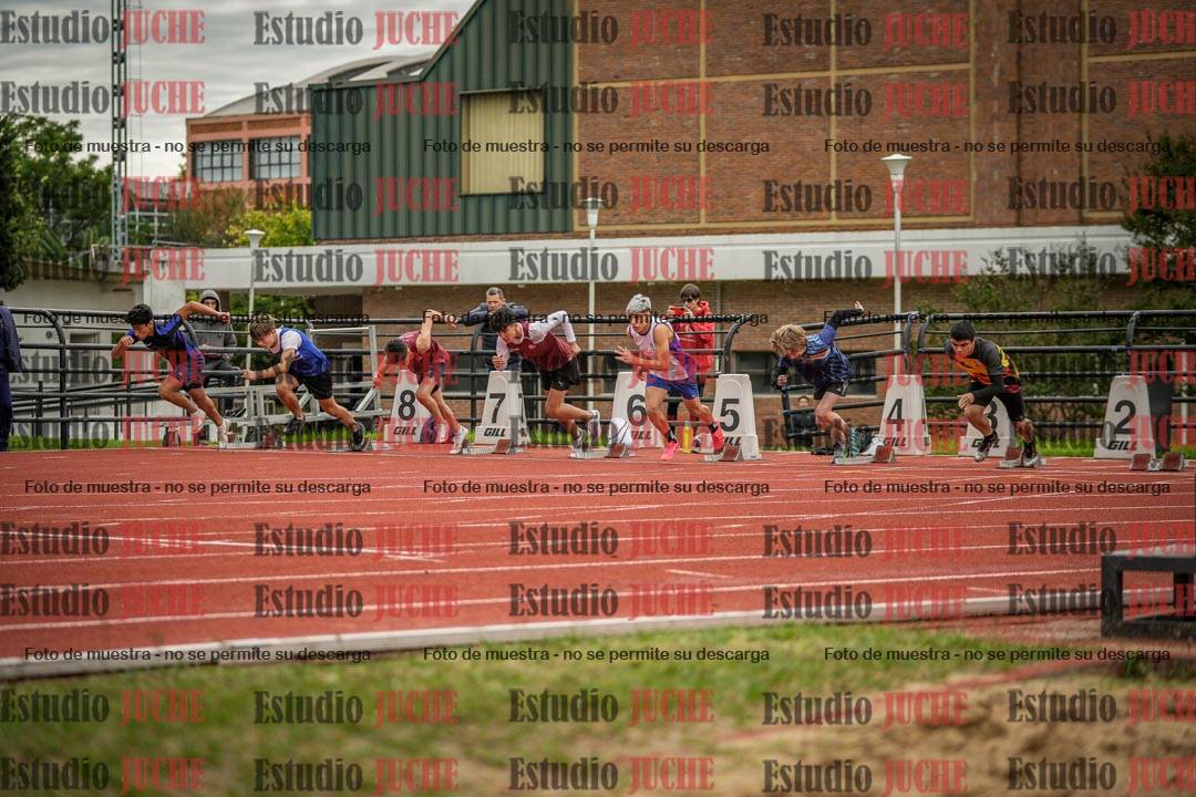 Fotos de los 110 m con vallas de varones