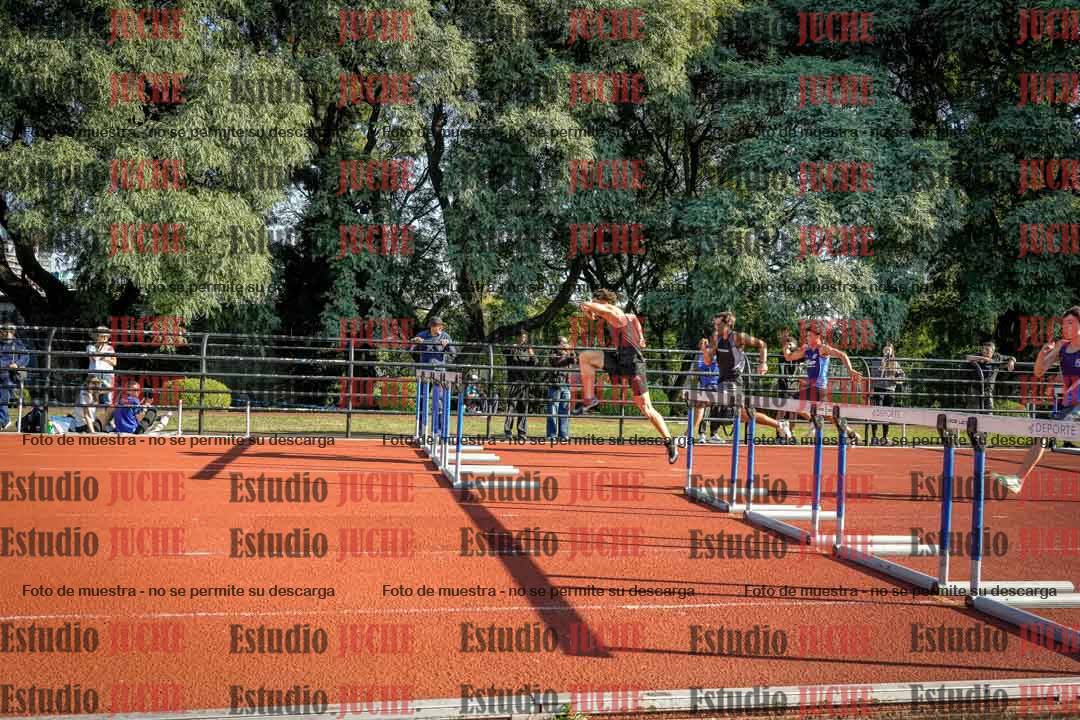 Fotos de los 110 m con vallas de varones
