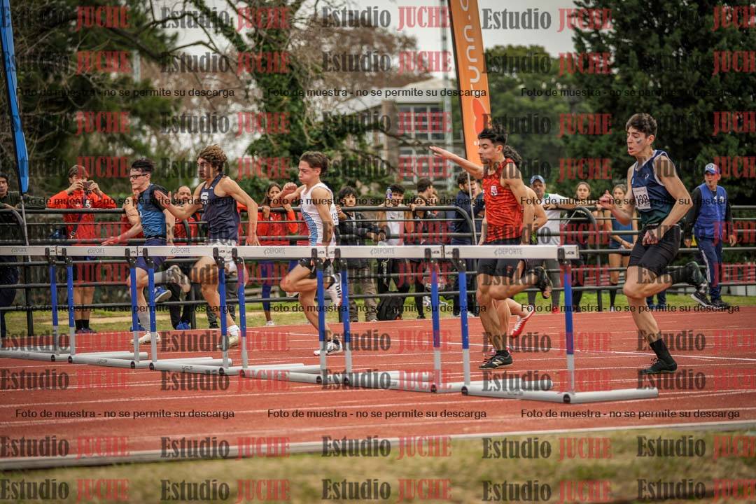 Fotos de los 110 m con vallas de varones