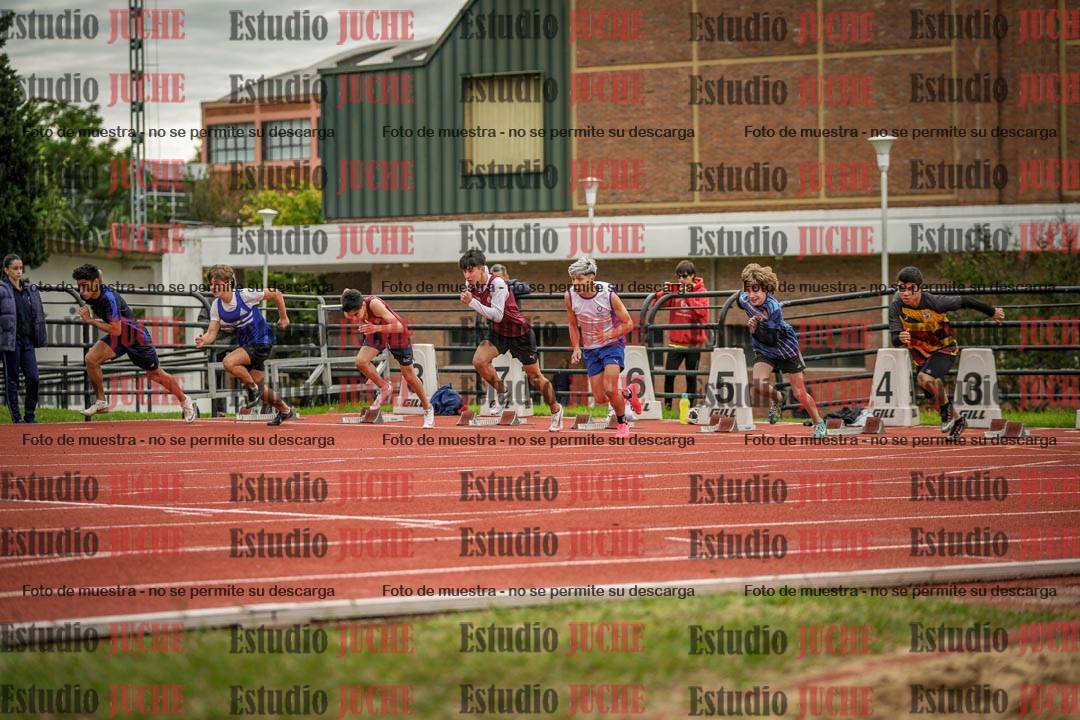 Fotos de los 110 m con vallas de varones