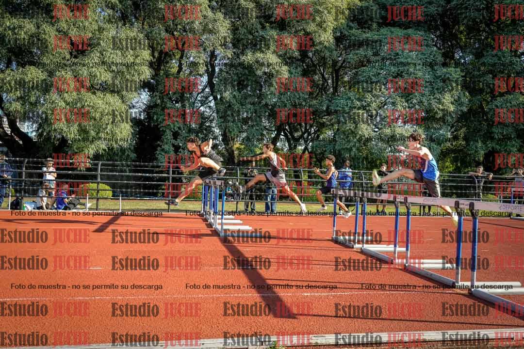 Fotos de los 110 m con vallas de varones