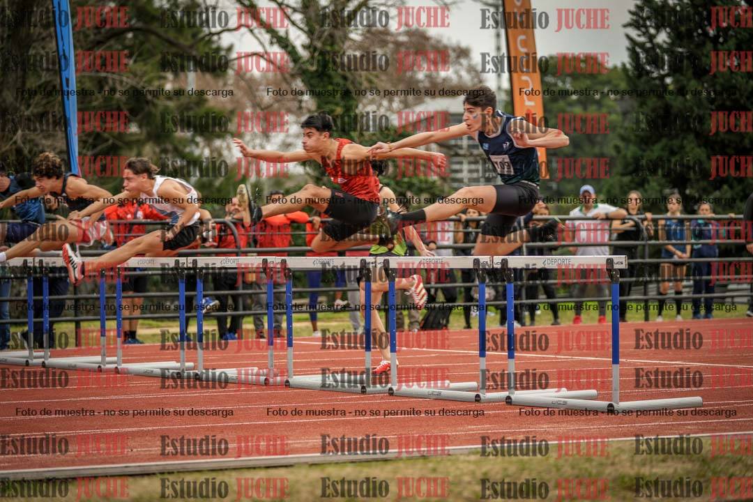 Fotos de los 110 m con vallas de varones