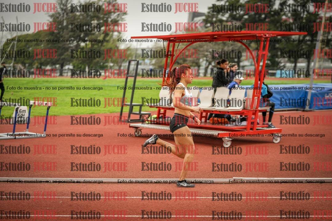 Fotos de los 800 m llanos de mujeres