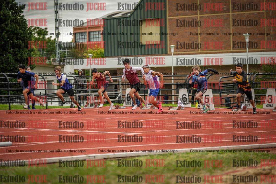 Fotos de los 110 m con vallas de varones
