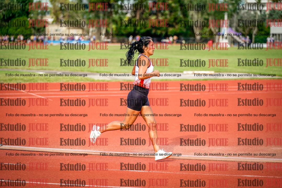 Fotos de los 3000 m llanos de mujeres