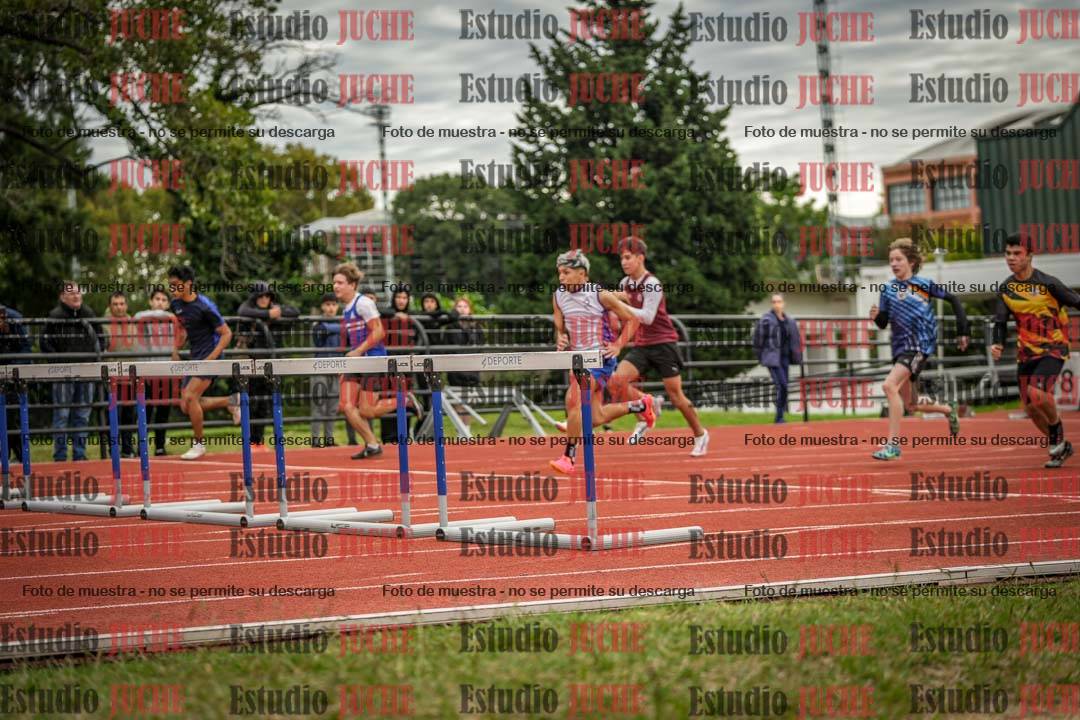 Fotos de los 110 m con vallas de varones