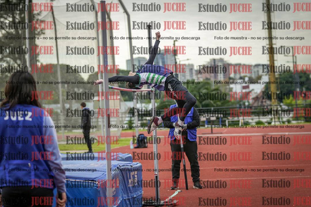 Fotos del salto en alto de varones