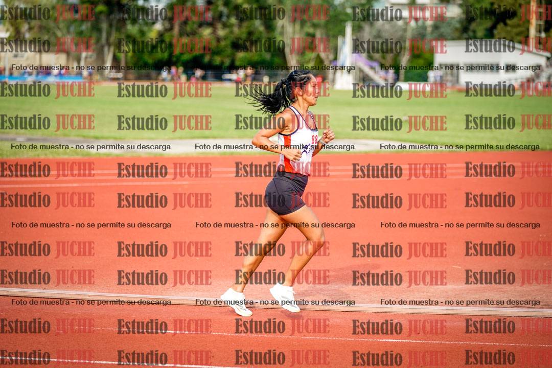 Fotos de los 3000 m llanos de mujeres