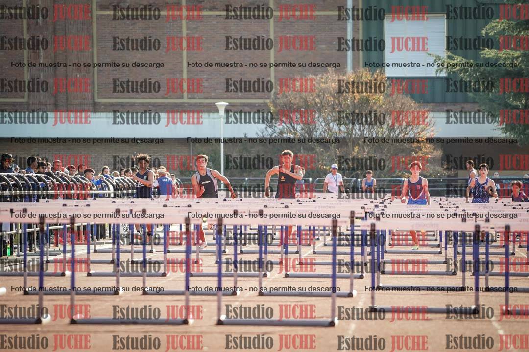 Fotos de los 110 m con vallas de varones