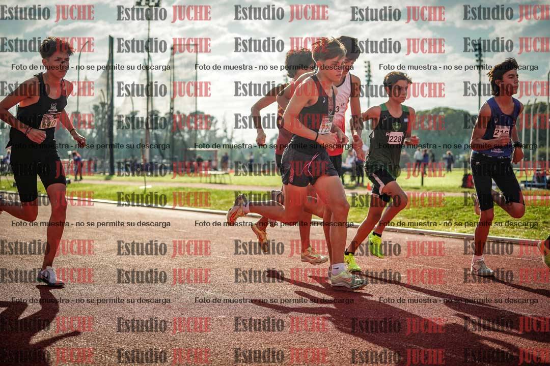 Fotos de los 2000 m con obstáculos de varones