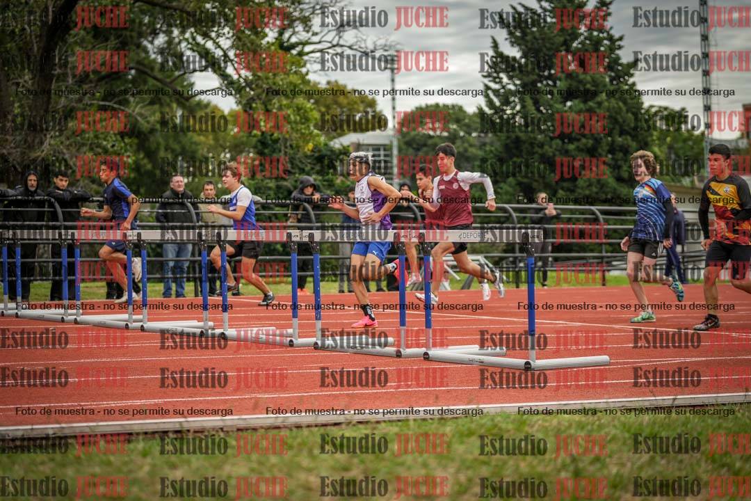 Fotos de los 110 m con vallas de varones