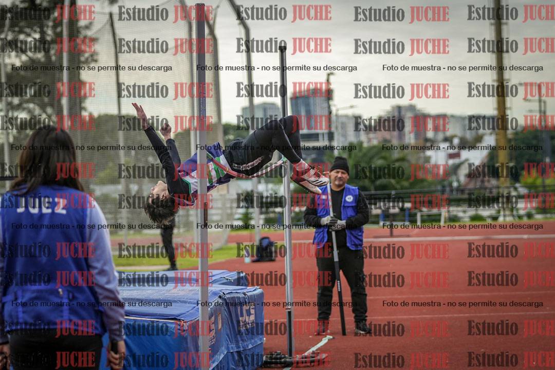 Fotos del salto en alto de varones